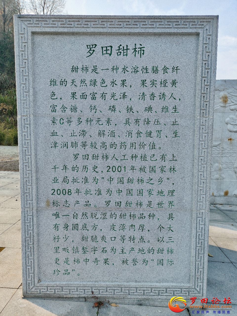 20241218224049front2_0_1160_FmFidb5nk05yrgDXlkoR5vACzwkX.jpg