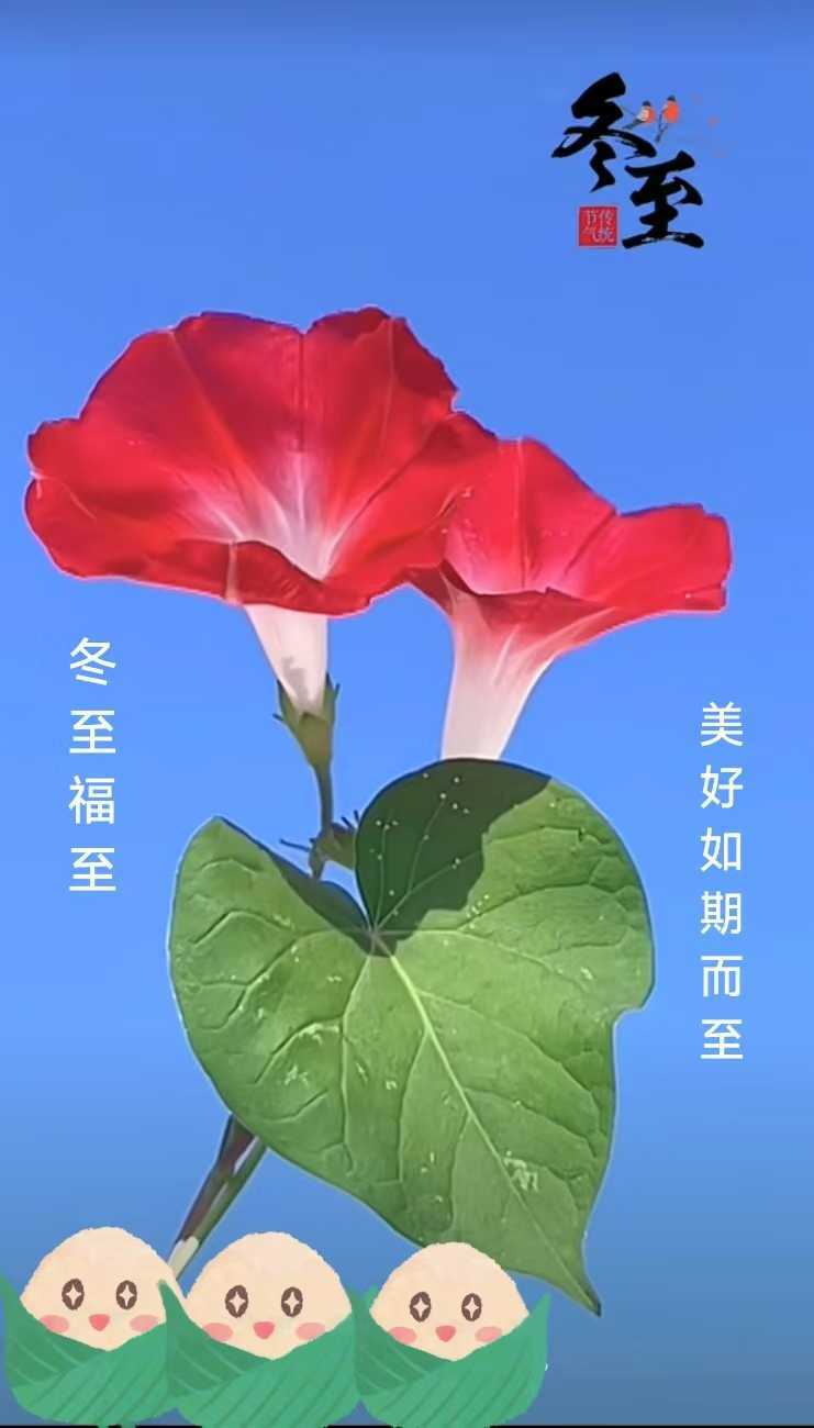 be6e83026d42d1cdb6f10de687e87b4b_101913gk0gl10r042lzg10.jpg