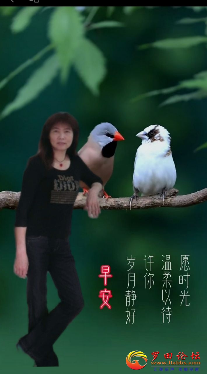 20250212073220front2_0_988_FqAIteDTjqYCUlU3qZvpXlBvtFlm.jpg