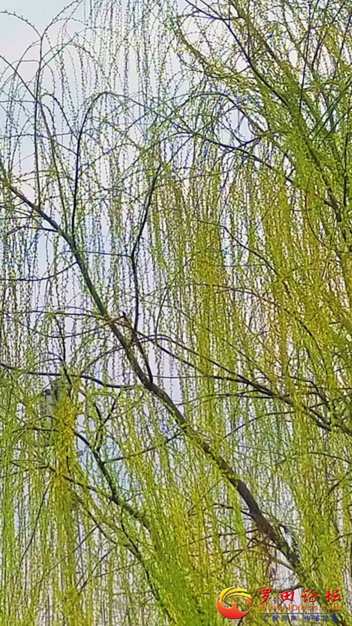 20250304220616front2_0_1160_FqiWIKEP2cjSEuTxI06VCLzlvDCW.jpg