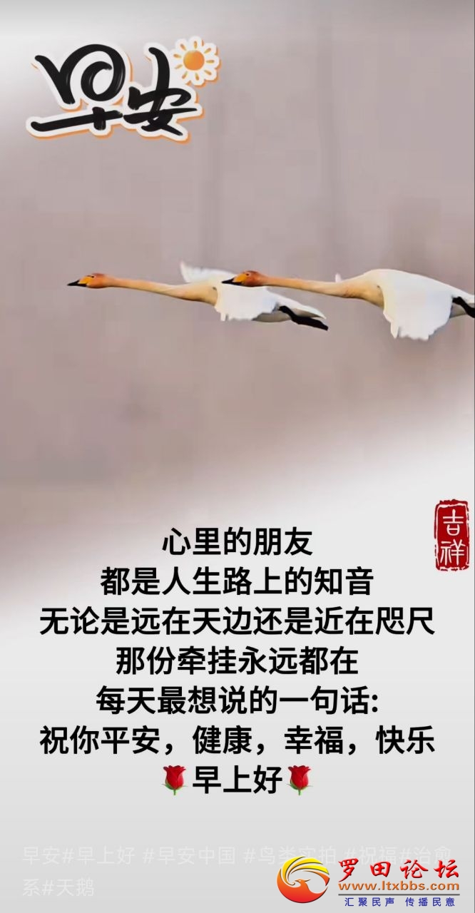 20250324094900front2_0_988_FkBFqjT86vck1QsPMCY0SRZT-fKu.jpg