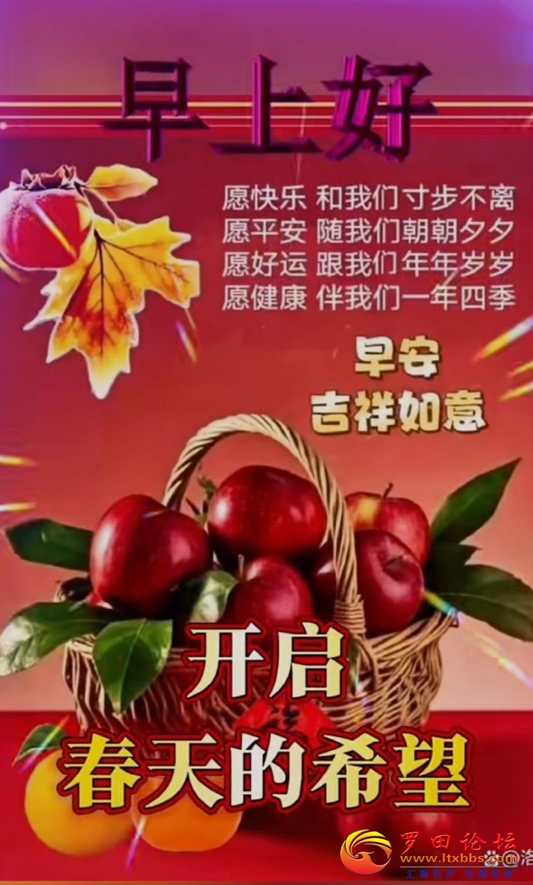 20250324095111front2_0_988_Fv7vbDbuI2GvX9wTUaozsHaYq5Zl.jpg