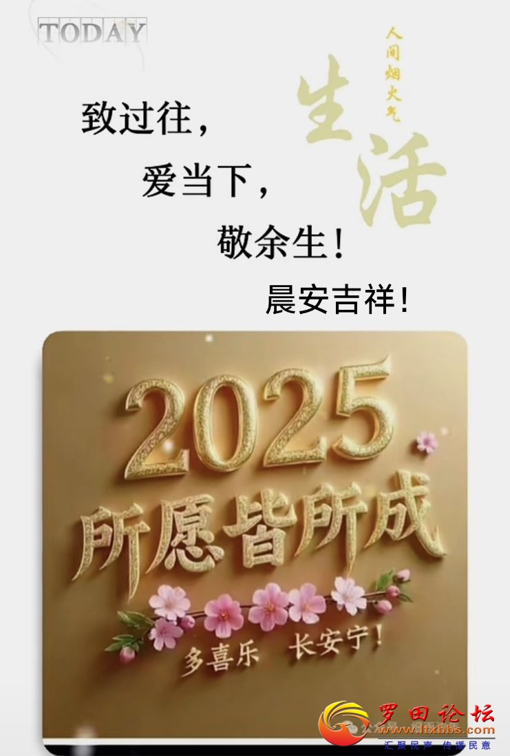 20250324095441front2_0_988_FlCr56-xxJP7qI8x97nXuS3ZUpDY.jpg