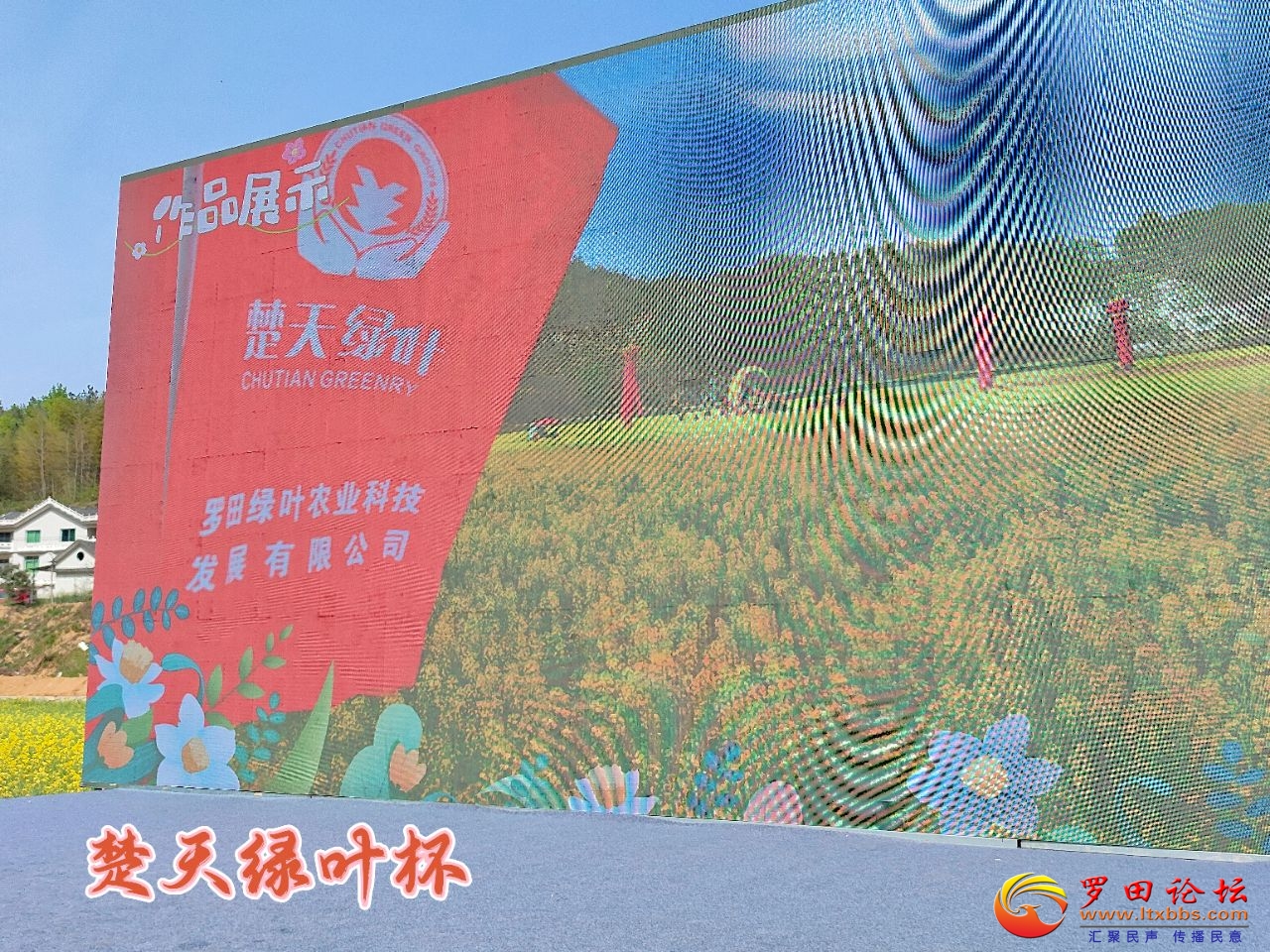 20250408215403front2_0_1160_FkzMtbYPtQLe5dBMDL7-6jiaMvex.jpg