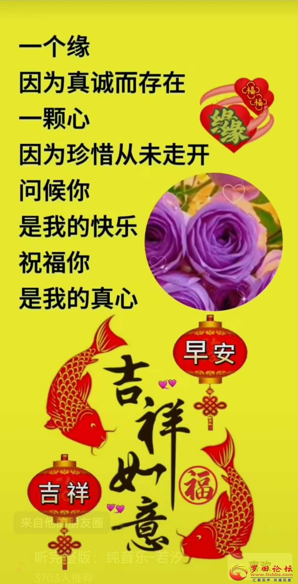 075121npis5pc22u59c55p.jpg