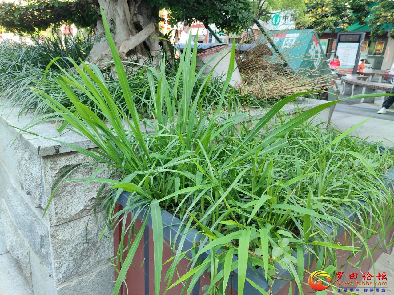 20250604222011front2_0_1160_FgXWyuhO9v8MiTYyyftDQCr5ptrO.jpg