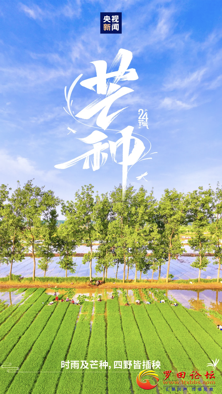 20250605201323front2_0_1160_FucUrgPc5vXRiE83D4bJmwUe7sPL.png