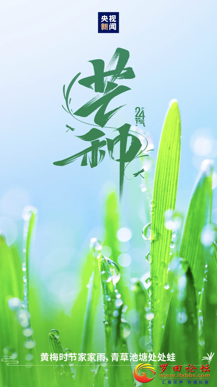 20250605201322front2_0_1160_Foeu0MAAt6P8ZPCNTMYG8uGsS_Ud.png