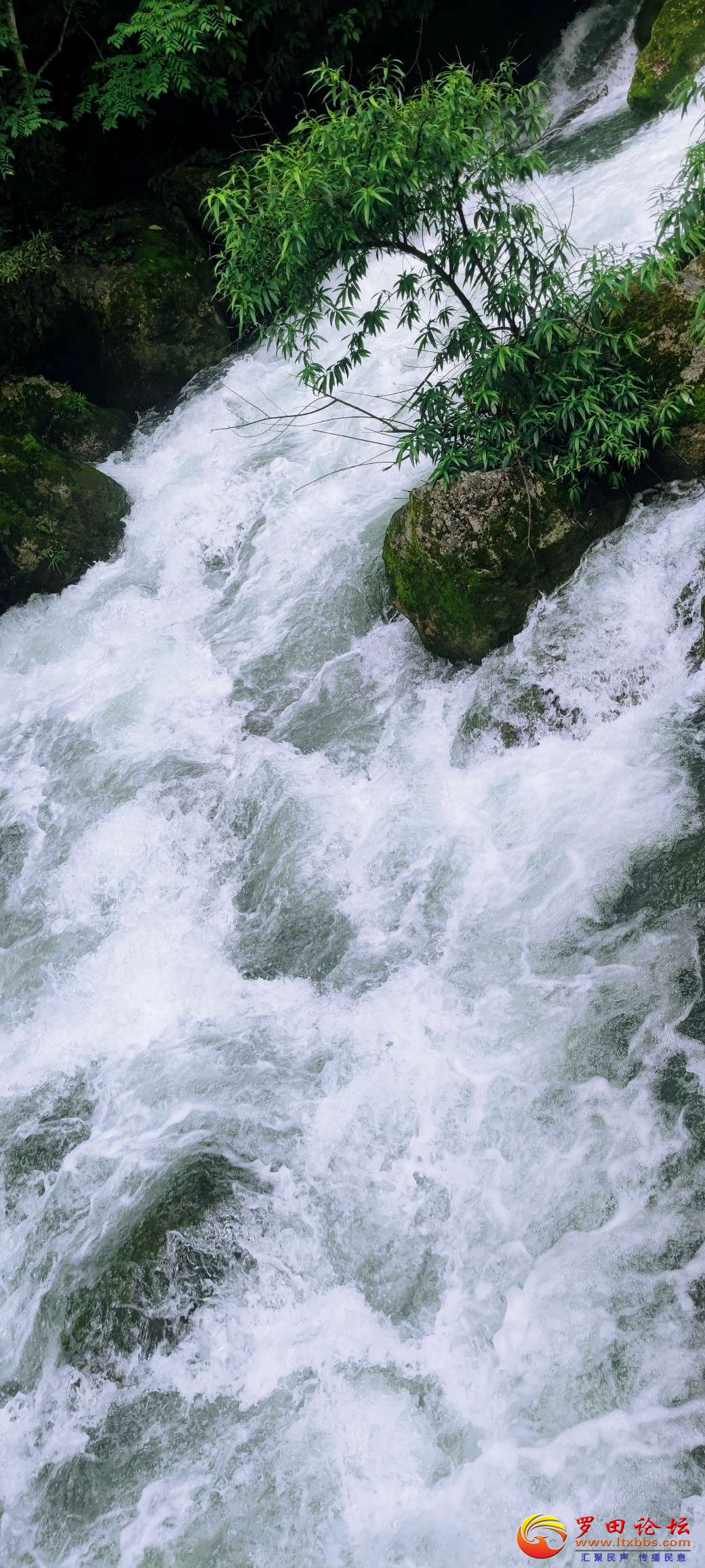 20250616152326front2_0_55541_Fpzw0ei_1aJWgv83Px_zt1JgDU7z.jpg