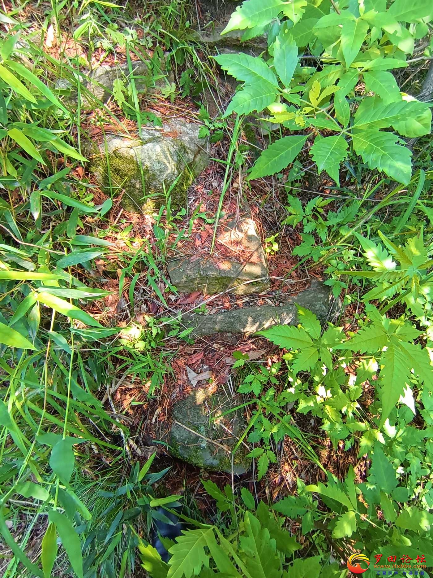 IMG_20250524_100159.jpg