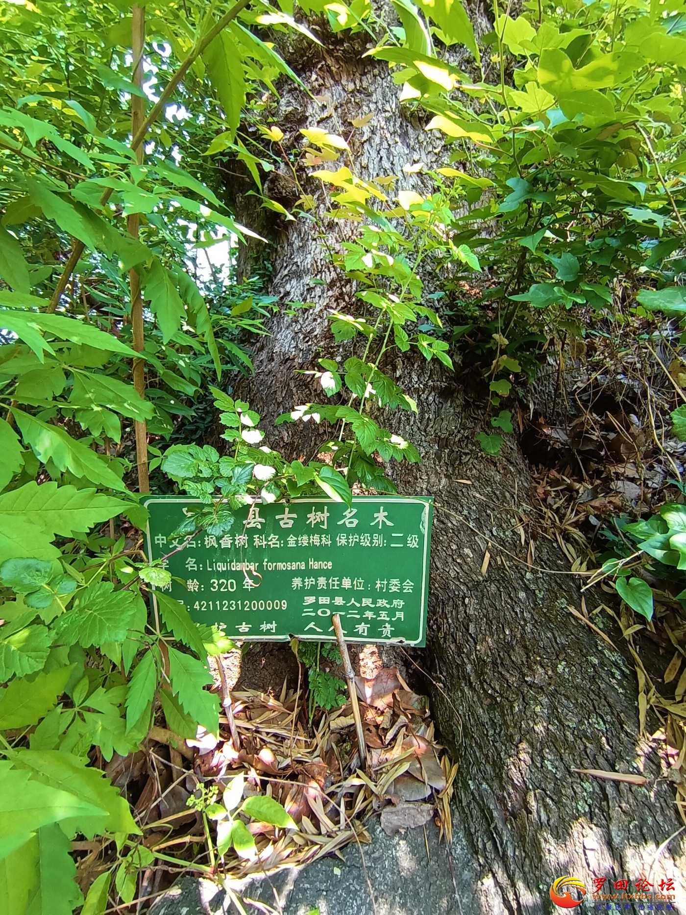 IMG_20250524_101414.jpg