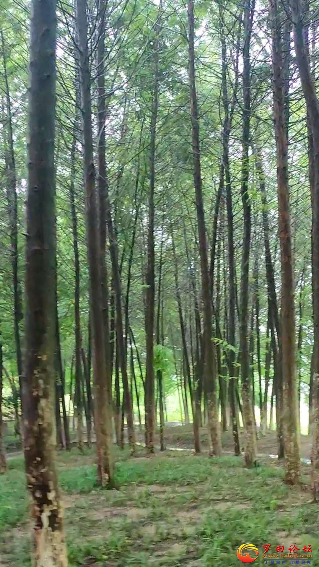 20250619225350front2_0_1160_FvmvU1EVMzKlkrTtzIGFoVsjhrN8.jpg