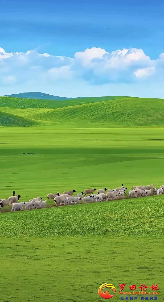 66f6e96b67034abf0fd3735ac9a6e2a2_235014vfqbft5gia7bbzcf.jpg