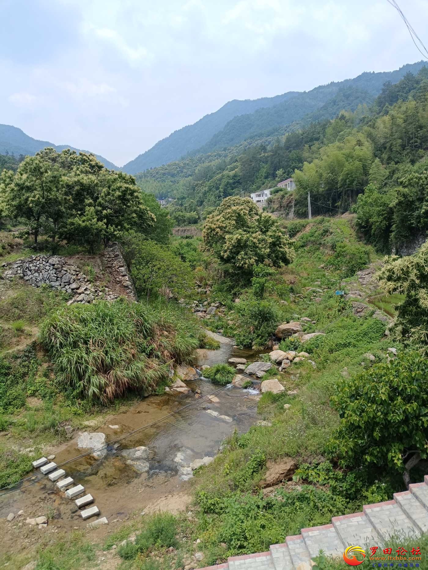IMG_20250525_113840.jpg