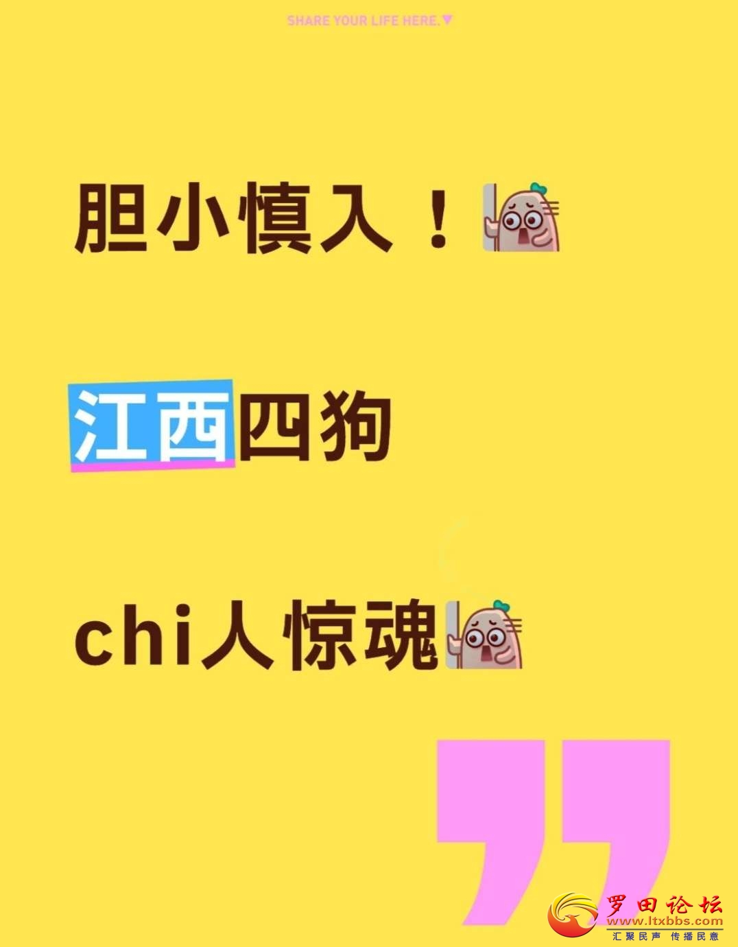 20250701130124front2_0_82659_FjVveevy6N58v-O7hJCtTYRK1Nya.jpg