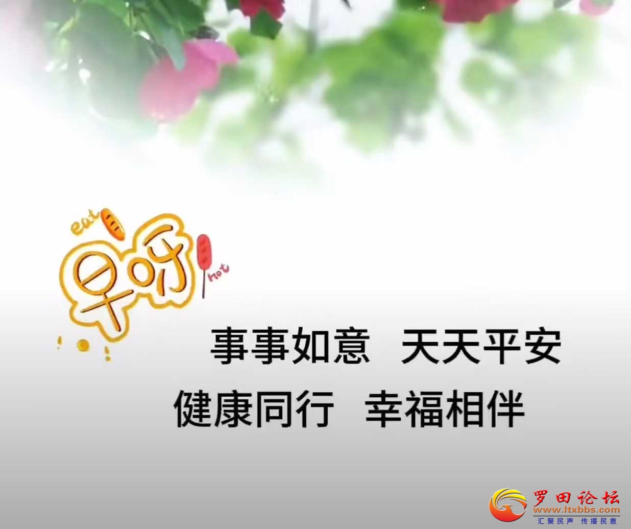 105248l5pzfb9t3hfa19az.jpg