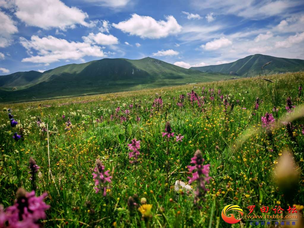 20250805221227front2_0_1160_FpWc_ahSaHq7LkZx_TnOgsHU_D_D.jpg
