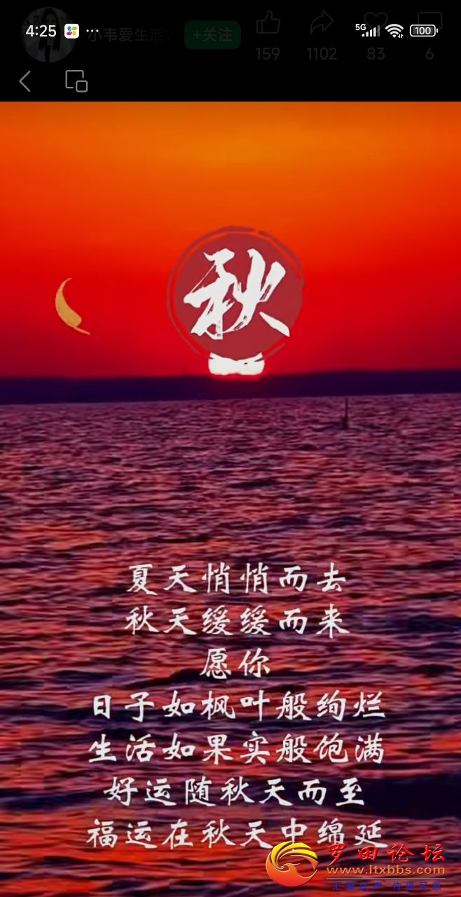 20250807101546front2_0_988_FvjKNbSTzZOLn5b6CKcHgyI-Ex5Y.jpg