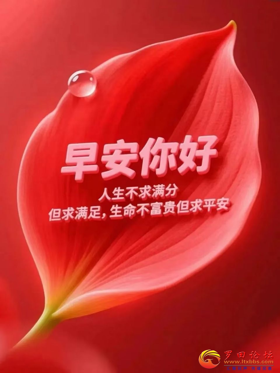 20250826092258front2_0_988_Fls2S-phj99hVKJrQMuROpdDNPdf.jpg