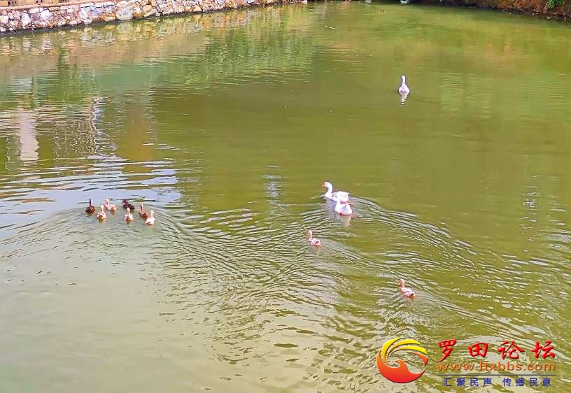 20250831183537front2_0_1160_FmwcS3m8ujsPc_Gk-bPrxTR6aYjN.jpg