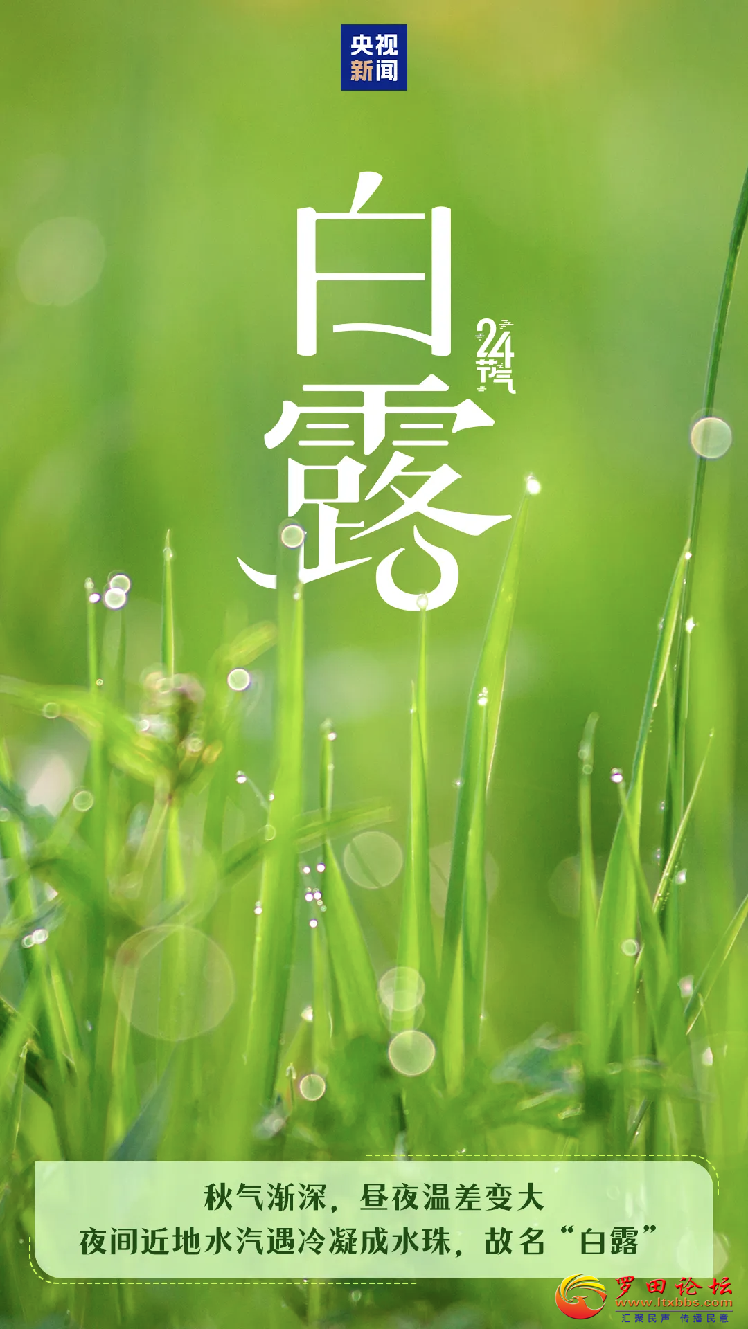 20250907173424front2_0_1160_Fpxw-l_lpVsRIW6NWPQd7F9GFi0c.png